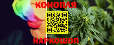 jwh Дубна