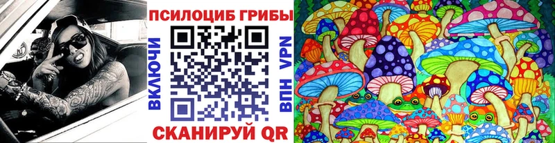 купить закладку  Кубинка  Галлюциногенные грибы Psilocybe 